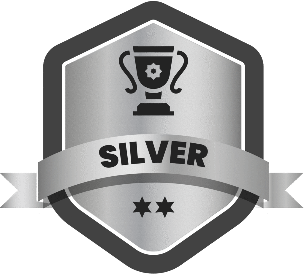 Silver 1024x923